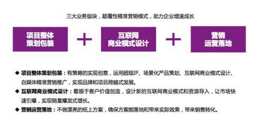 掌握市場營銷與經濟貿易咨詢 雙軌并進的專業發展指南